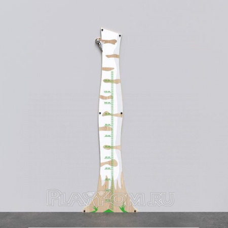 Арктика Система Birch ruler