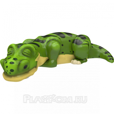 Crocodile