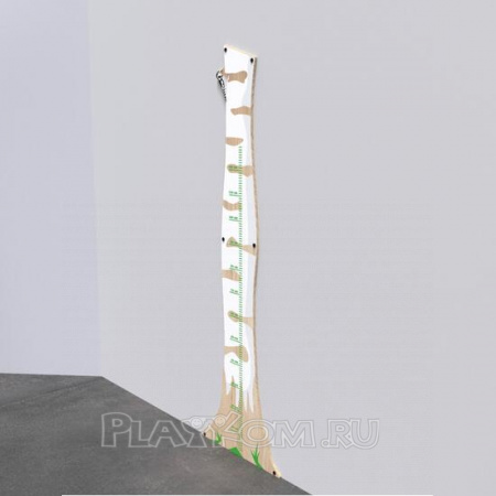 Арктика Система Birch ruler