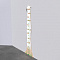 Арктика Система Birch ruler